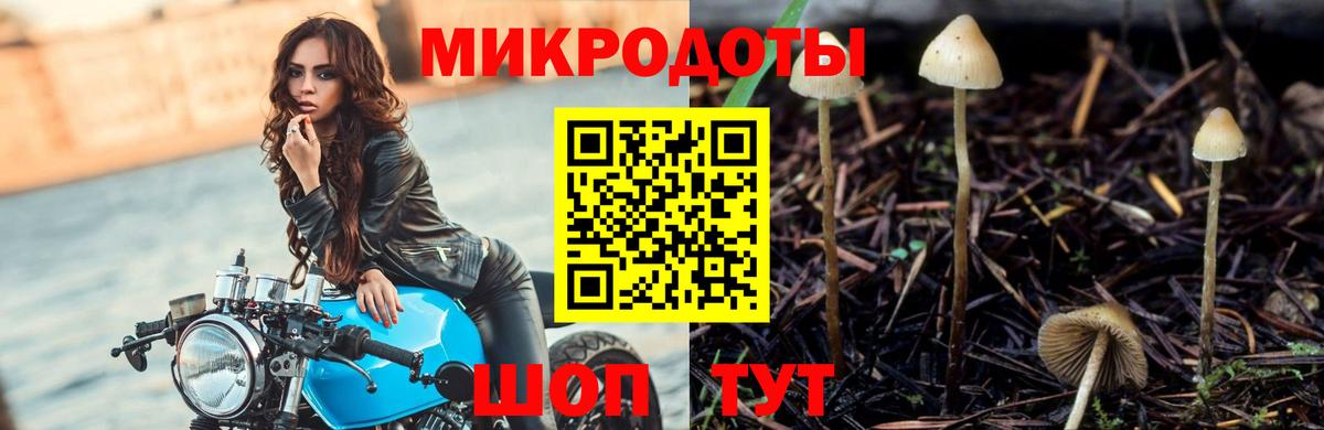 Рубцовск  Галлюциногенные грибы Cubensis  купить наркотики сайты  Вход с VPN 